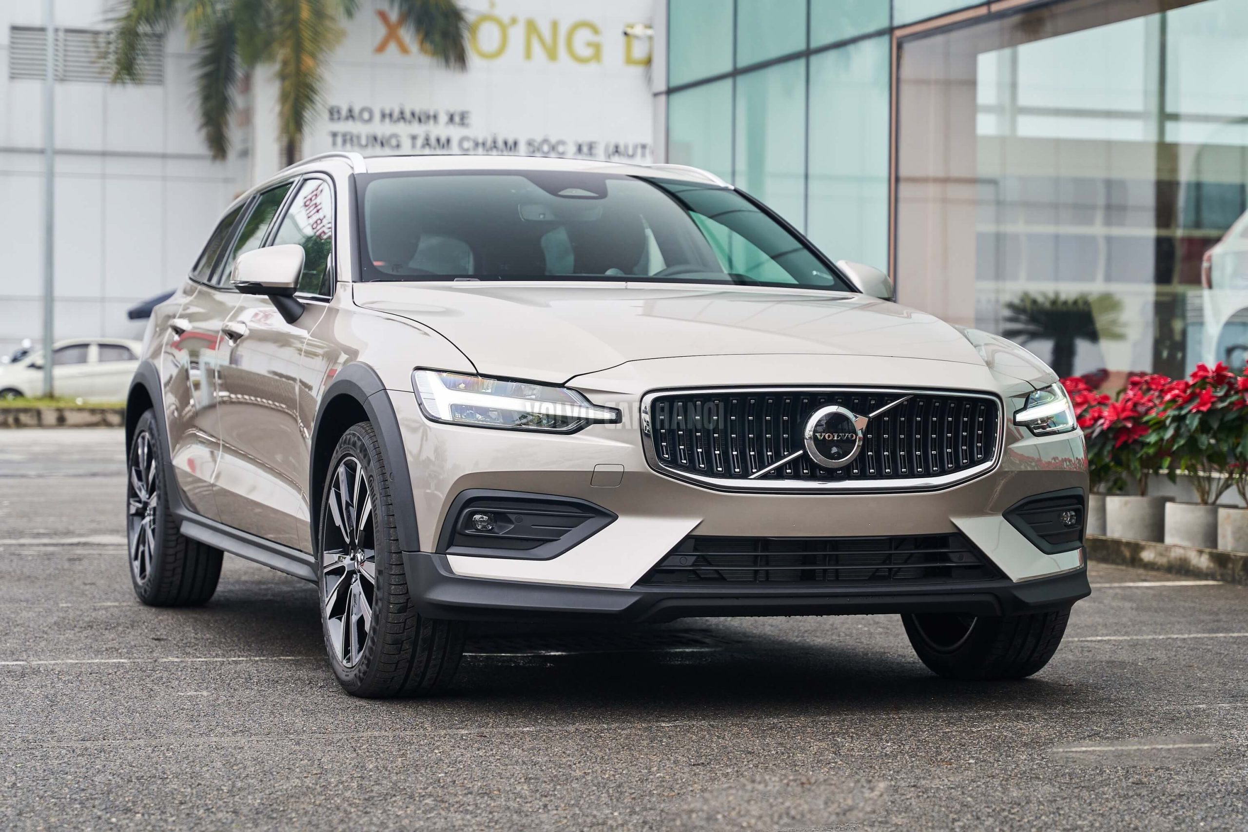 V60 Cross Country - Vàng Đồng 